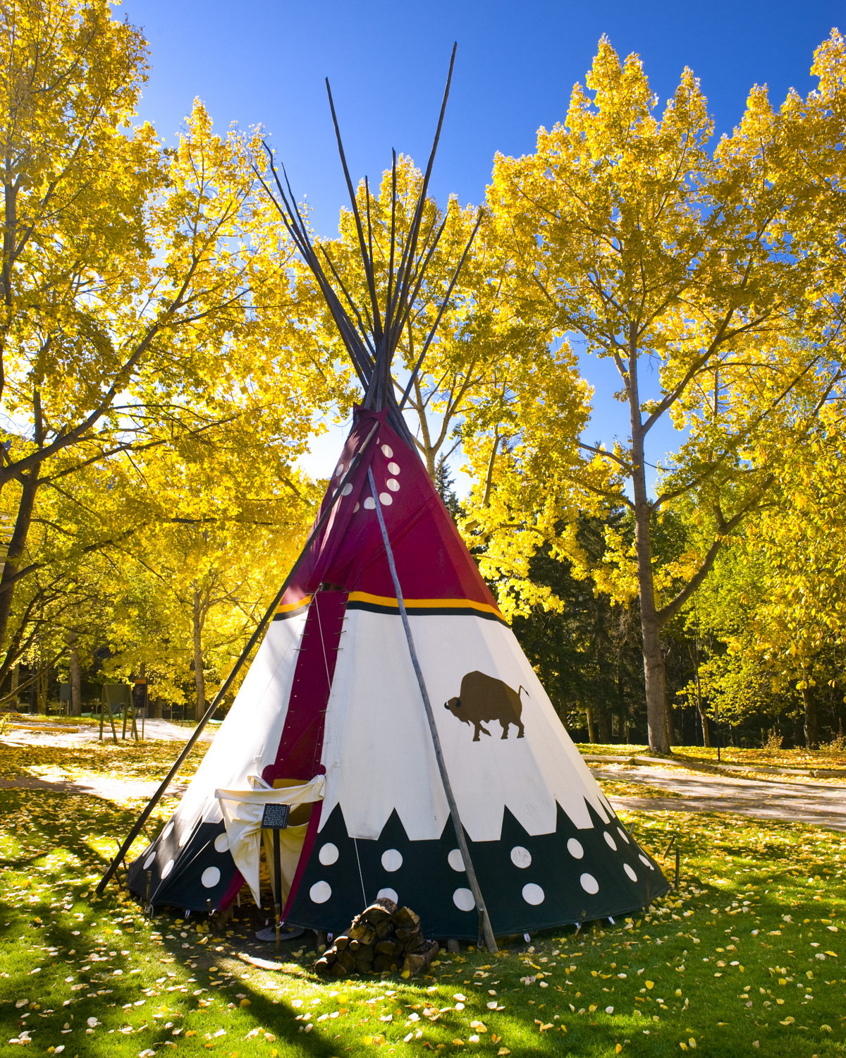 Creative Voices 2008 How We Got Our Painted Tipi Banff Centre